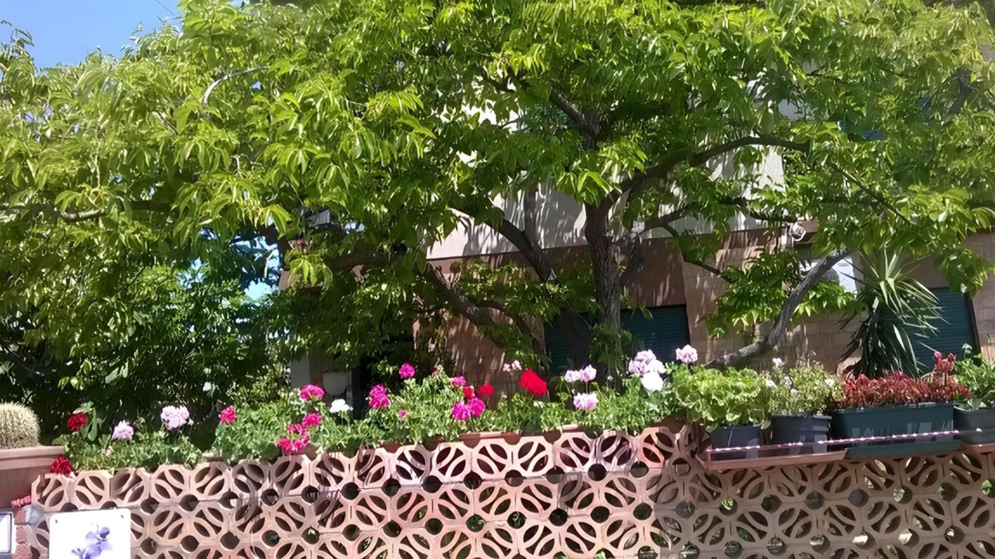 Bb Le Violette Bed & Breakfast Tortoli Exterior photo